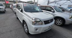 2010 Nissan X-Trail (18384)